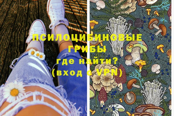 дурь Алексин