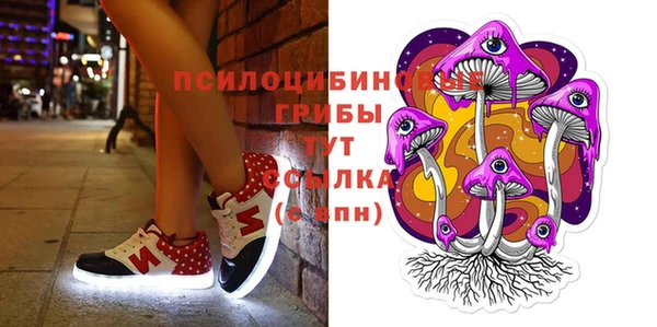амф Абинск
