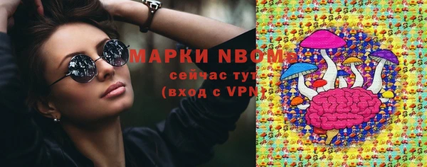 дурь Алексин